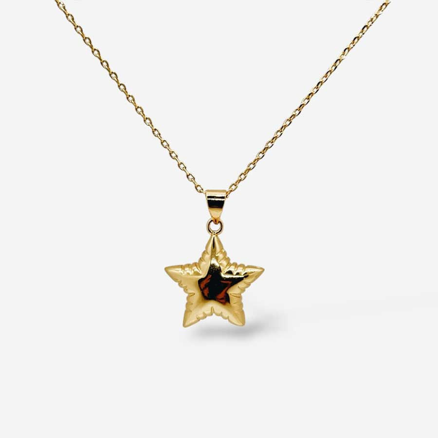 Collar Estrella Globo