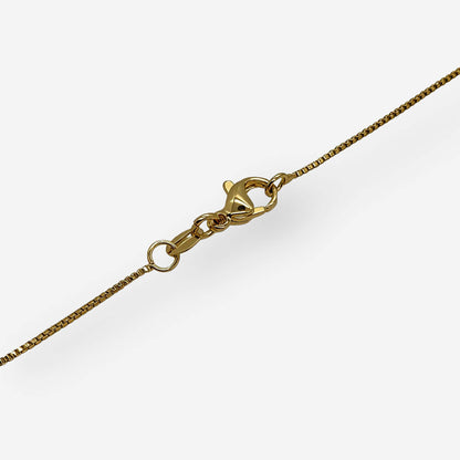 Collar Oso de Goma