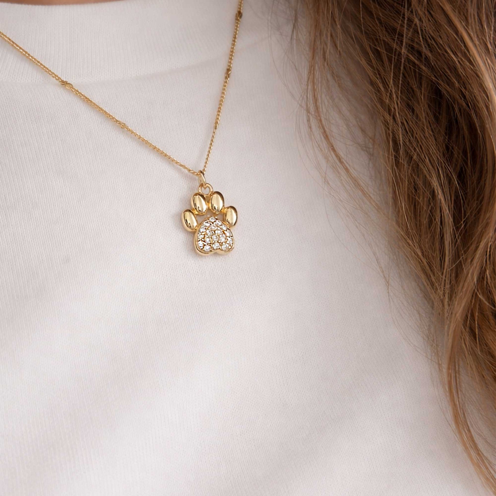 Collar para amantes de perros y gatos